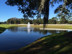 Front Lagoon and Fountain